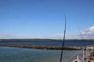 2025-07-21 Cpt. Cook Brdg. Walk - IMG_3795_compressed_q80.webp